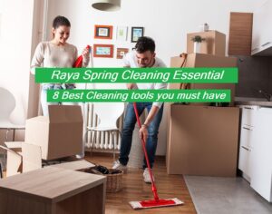 raya cleaning products. best cleaning products.